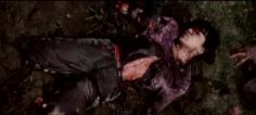 05_2009_run_for_blood_3.jpg