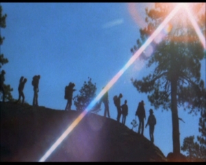tierterror_in_der_sierra_nova_2.jpg