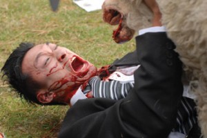 11_2007_Black_Sheep_2.jpg