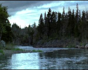 the_riverman_1.jpg