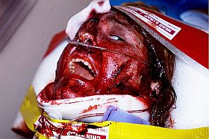 03_2010_halloween_2_2009_4.jpg