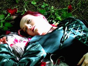 trnen_einer_rose_2.jpg