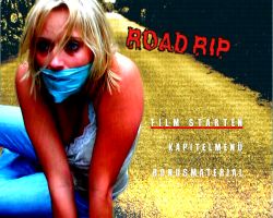 road_rip_4.jpg