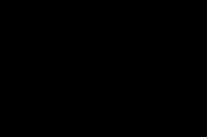 02_2009_hydra_1.jpg