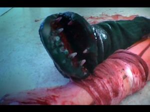 attack_of_the_tromaggot_4.jpg