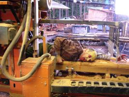 01_2007_Severed_2.jpg