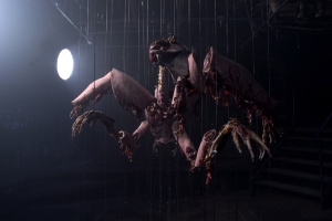 07_2008_Anamorph_4.jpg