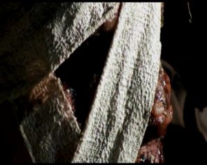 plasterhead_1.jpg