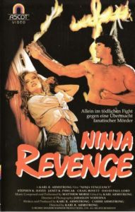 Ninja Revenge