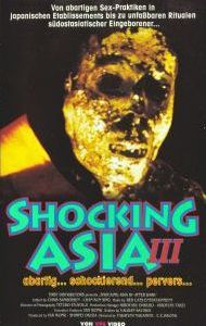 Shocking Asia III  